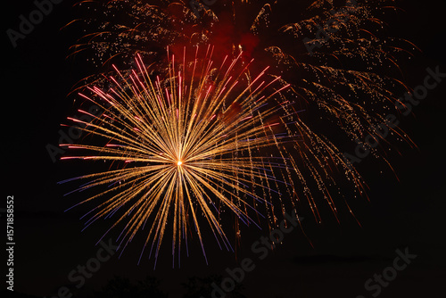 fireworks in the sky