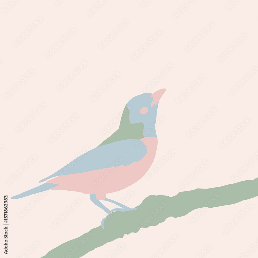 Fototapeta premium J Bird