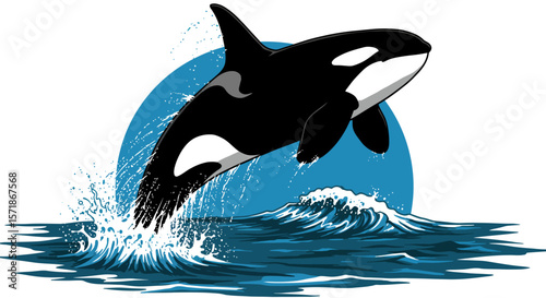 Vector Drawing of Killer Whale Jumping Out of Water – Orca Marine Animal Illustration