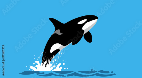 Vector Drawing of Killer Whale Jumping Out of Water – Orca Marine Animal Illustration