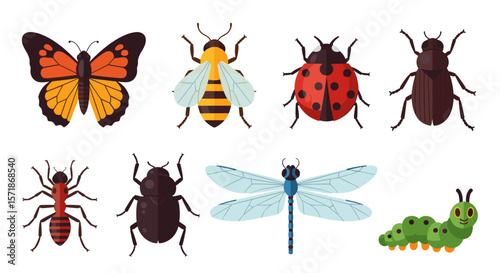 Illustration of various insects including a butterfly, bee, ladybug, beetle, and dragonfly entomology