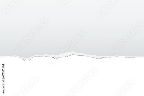 Horizontal Ripped White Paper Edge Creating a Blank Space, Isolated on a Clean Background for Design