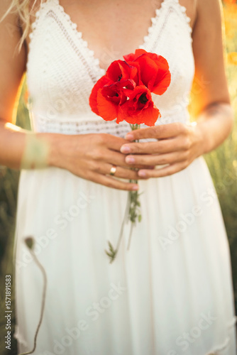 red poppy flowers in female hands close-up