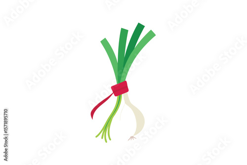 Radish And Spring Onion Bundle With Ribbon On White