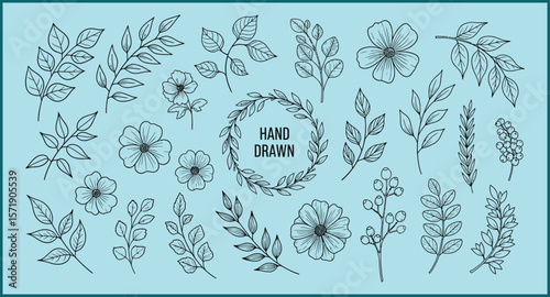 Hand Drawn Floral Elements Collection for Design