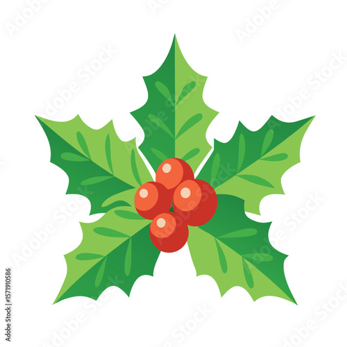 christmas holly leaves and berries