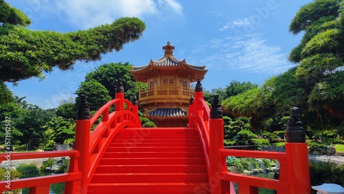 Photography Hong Kong, June 01,2025 : Lotus pond garden, Nan Lian Garden