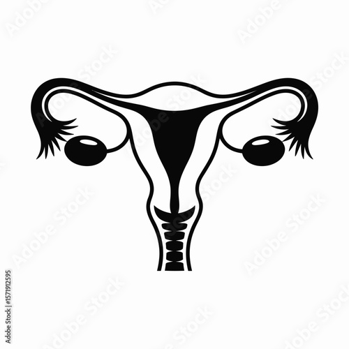 Stylized black and white illustration of the female reproductive system