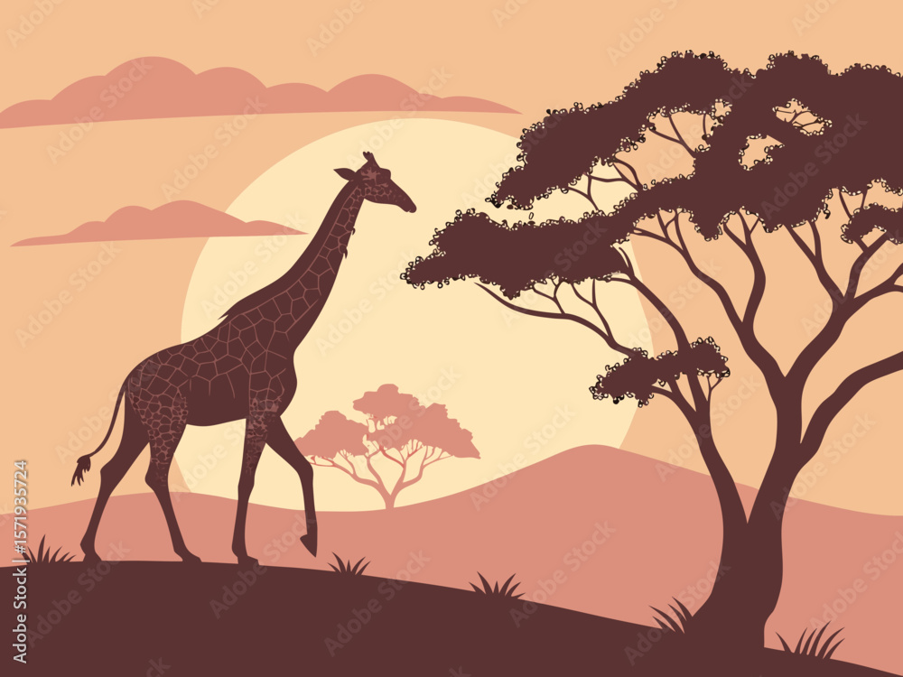 Fototapeta premium Silhouette of a giraffe walking across the african savanna at sunset