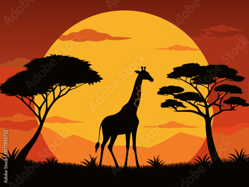 Silhouette of a giraffe standing in the african savanna at sunset