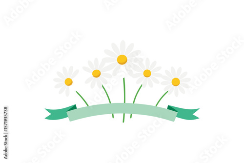 White Daisies With Ribbon Gently Placed At The Base