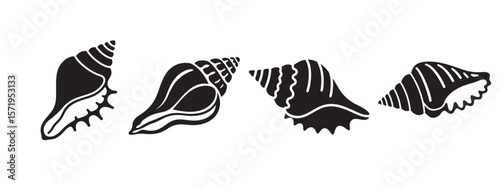 Collection of four black seashell silhouettes isolated on white background silhouette
