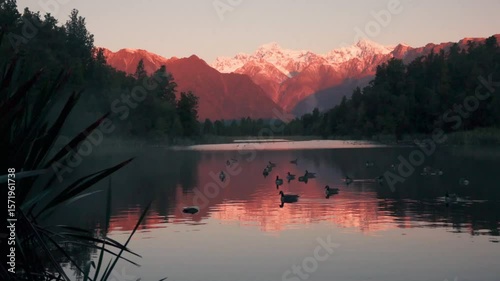 video of ducks in a lake with a snow capped mountain in the background glowing in a red sunset light