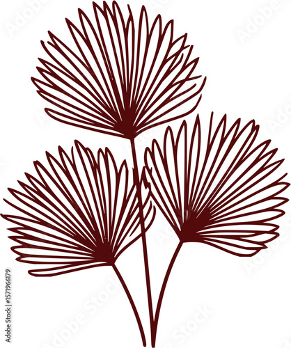 Illustration of three stylized palmetto fronds with a dark red outline on a white background design element