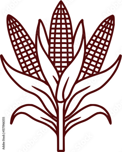 Illustration of three corn cobs with leaves in a stylized brown outline on a white background image