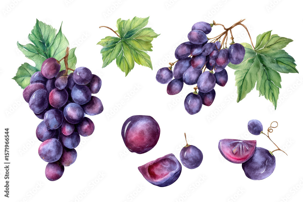 Obraz premium Grape flat-lay display pure transparent BG