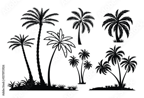 tropical palm tree silhouettes, perfect for summer, travel, vacation designs. palm tree Vector illustrations of diverse shapes on a white background 