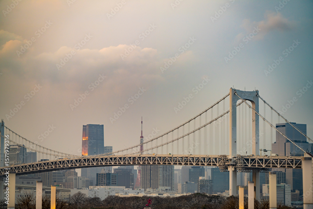 Obraz premium 東京 お台場からの風景