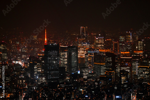東京の夜景