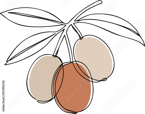 Olive branch with three olives simple line art minimalistic vector illustration