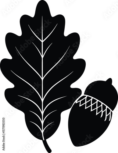 Acorn and oak leaves vector silhouette
