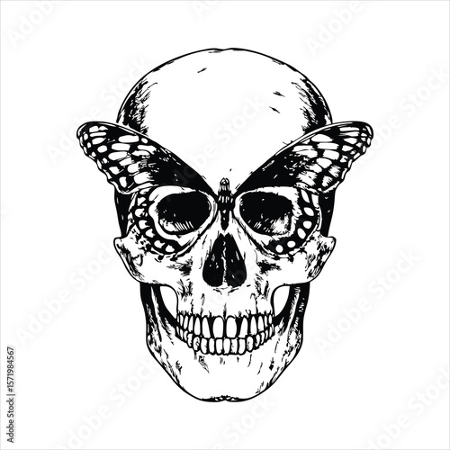 Skull adorned with a butterfly over its eyes is depicted in a detailed black and white vector illustration, symbolizing the contrast between life and death