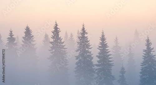 Misty forest landscape with evergreen trees at dawn creating a serene atmosphere