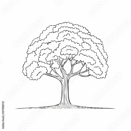 A detailed black and white illustration of a large, leafy tree with visible roots.