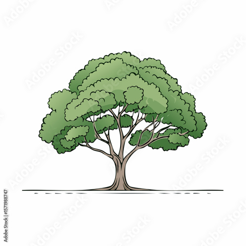 A detailed illustration of a large, mature tree with lush green foliage and a sturdy trunk.