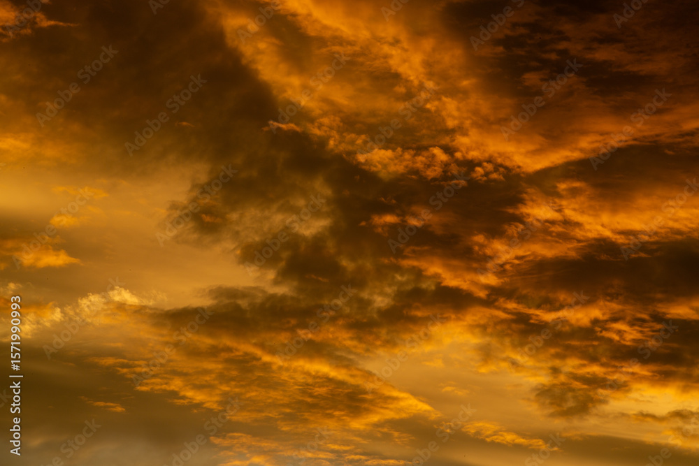 Naklejka premium 奄美大島の夏の夕暮れ。