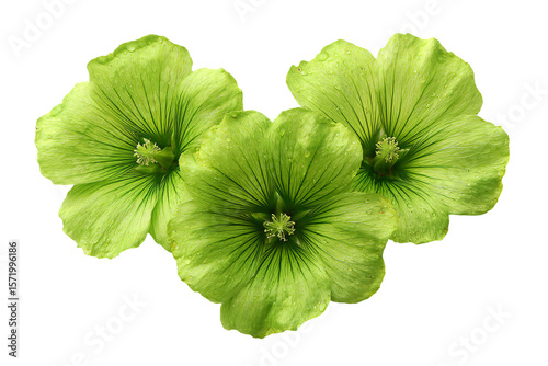 3D Render three green flowers are arranged in a heart shape