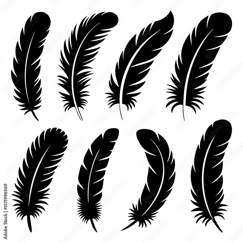 Obraz premium Unique and good quality Feather shapes silhouette set