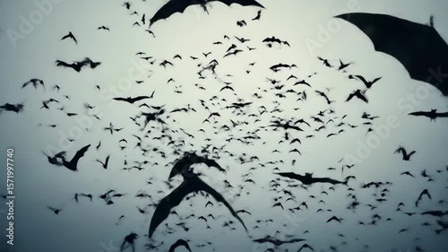 Swarm of Bats Silhouetted Against a Cloudy Sky, Spreading Wings in Flight