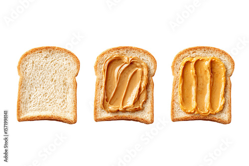 3D Render a peanut butter sandwich on a piece of bread