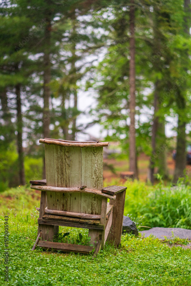 Naklejka premium Wooden chair with pine trees in the background