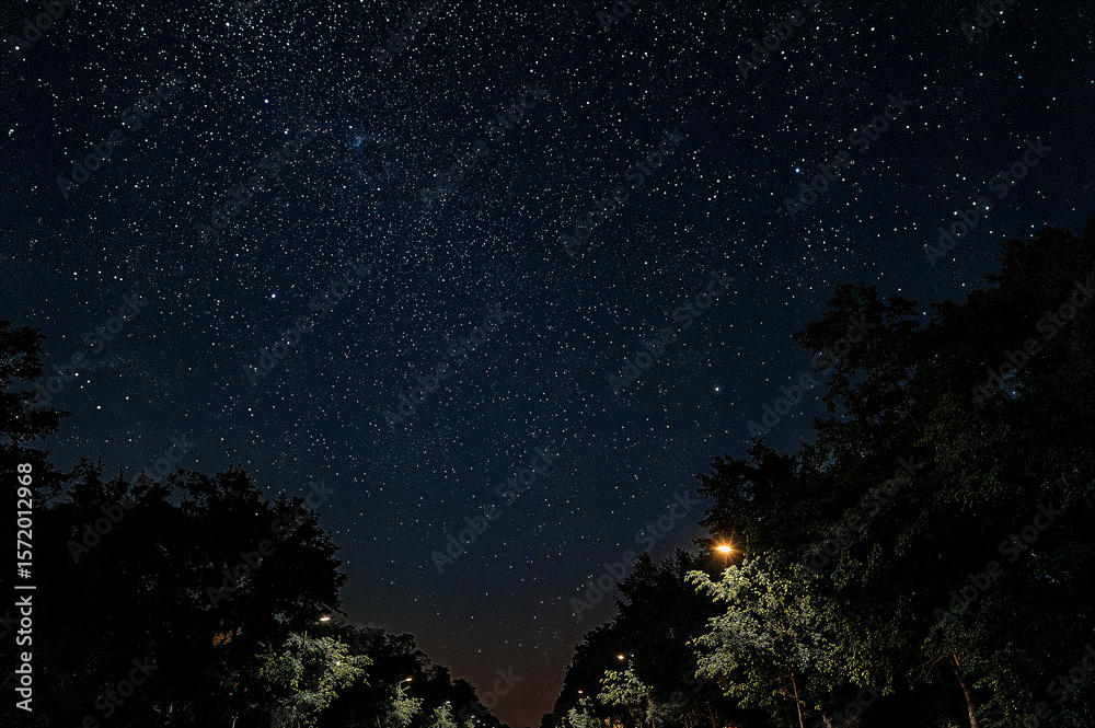 Naklejka premium Starry night over a tree-lined avenue