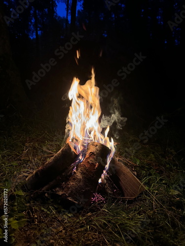 A cozy campfire burning brightly at night in a dark forest. Flames licking birch logs under a deep blue twilight sky.