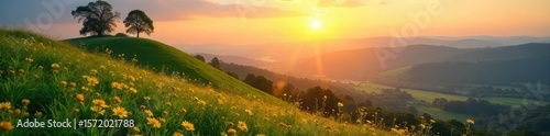 Golden hour sunlight bathes a lush green hilltop, wildflowers blooming, overlooking a serene valley Perfect for summer, nature, travel, and idyllic scenery themes , wildflowers, heat