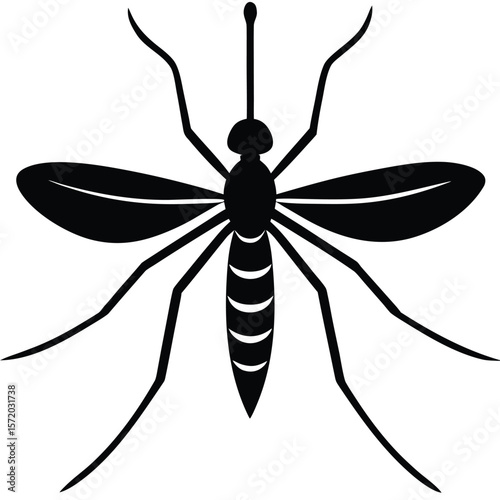 Silhouette of a mosquito showcases its thin legs and large wings on transparent background