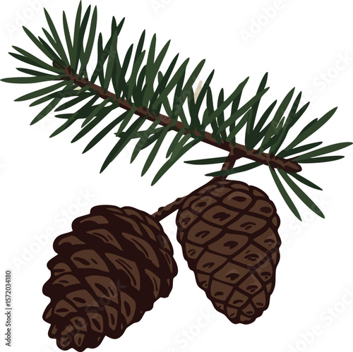 Pine branch with two brown pine cones and green needles vector illustration natural design