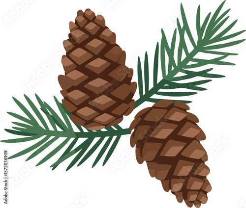 Pine cones with green pine needles botanical nature illustration design vector