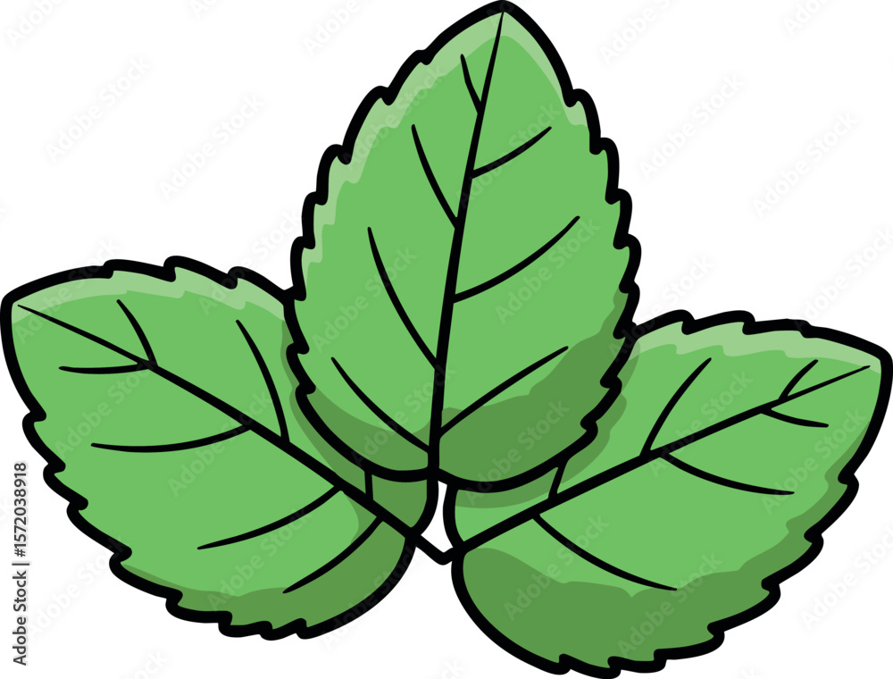 Obraz premium Green Mint Leaves Vector Illustration with Simple Outline Style Natural Herb Design