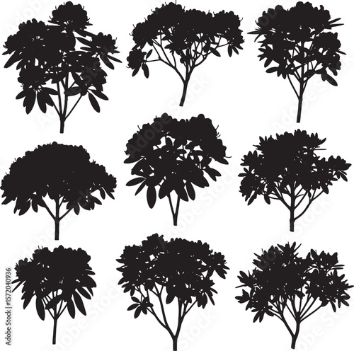 A versatile collection of frangipani tree and bush silhouettes, showcasing their distinct tropical forms, ideal for exotic landscape designs, floral patterns, and natural decorative elements