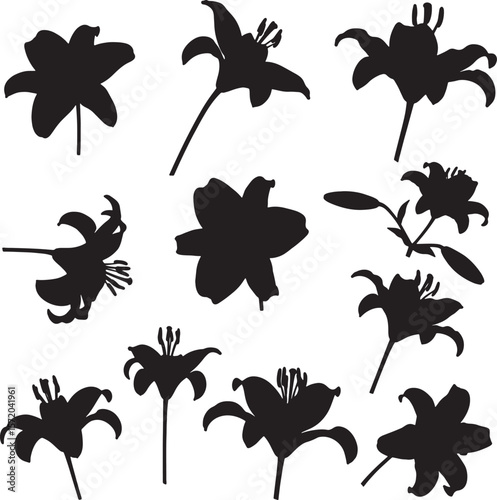 A collection of black heather plant silhouettes, showcasing various dense forms and natural textures, perfect for botanical, landscape, and decorative nature designs