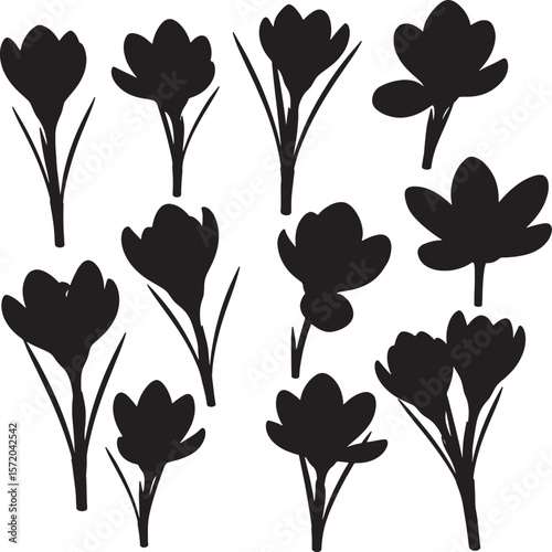 A delicate collection of crocus flower and bud silhouettes, showcasing early spring blooms and natural forms, ideal for seasonal designs, floral themes, and decorative patterns