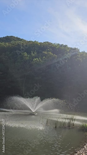 A wonderful fountain show with a fancy autumn pond