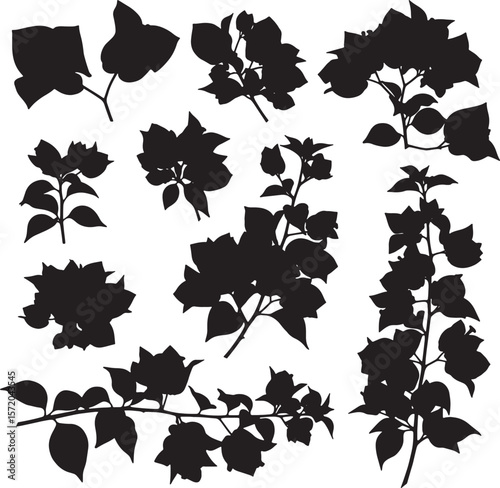 A collection of black bougainvillea flower and vine silhouettes, showcasing various bloom clusters and trailing branches, ideal for tropical, botanical, and decorative designs