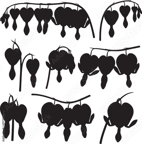 Collection of delicate bleeding heart flower silhouettes with distinctive heart-shaped blossoms and graceful arching stems, ideal for botanical illustrations, garden designs, and romantic floral theme
