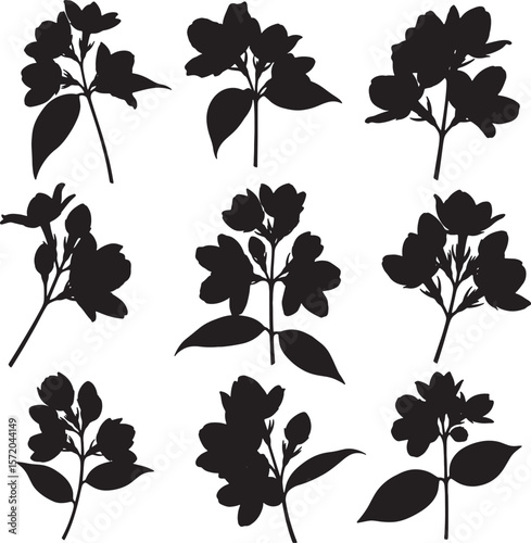 Collection of elegant jasmine flower and bud silhouettes, perfect for botanical illustrations, serene nature-inspired designs, and refined decorative elements, capturing various growth stages