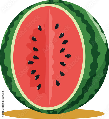 Watermelon half cut fresh fruit red green illustration vector image